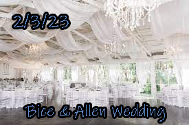 Bice & Allen Wedding @ Saxon Manor Garden Room